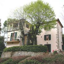 Vigne e Olivi