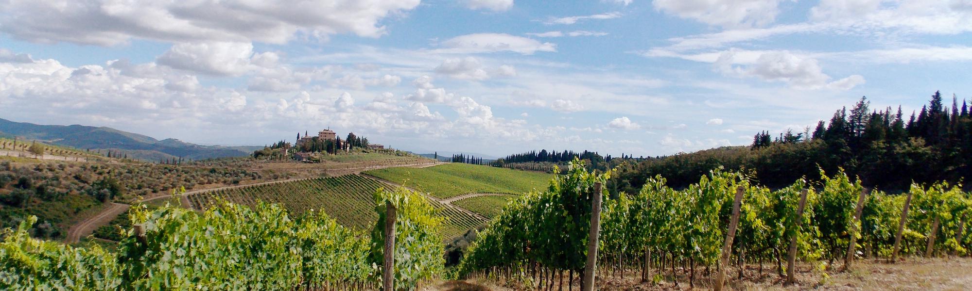 chianti